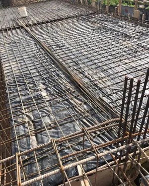 Civil Engineering and Project Management