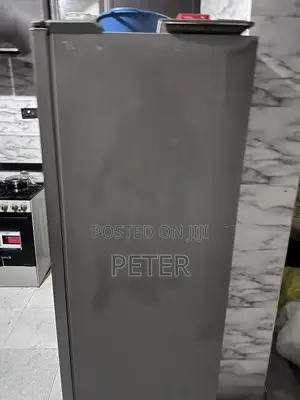 Double Door Fridge