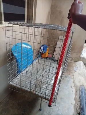 Size 4 Dog Cage