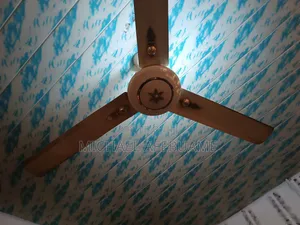 Giant 60 Ox Fan