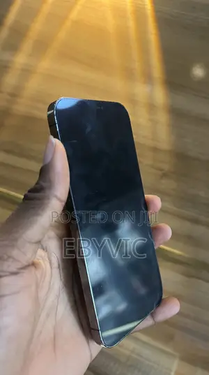 Apple iPhone 12 Pro Max 128 GB Black