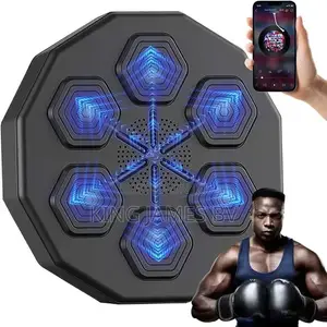 Smart Electronic Boxing Wall Target