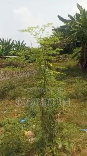 A Land Measuring 100ft/100ft for Sale, Along Erediawa Tarred Road