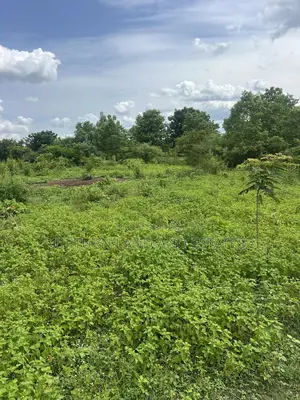 711 Acres of Land for Sale at Abeokuta Comes With Survey at Cheaper