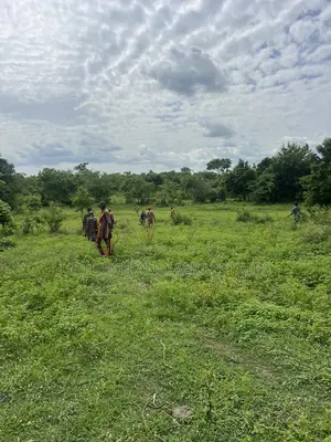 711 Acres of Land for Sale at Abeokuta Comes With Survey at Cheaper