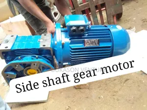 Brand New Original Complete Side Shaft Gear Motor