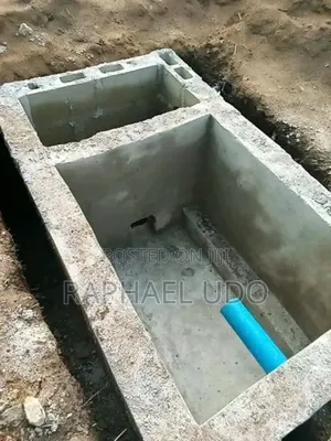 Biodigester and Biogas System