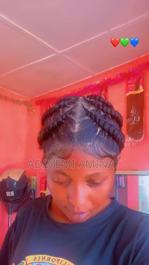 Braided Wig