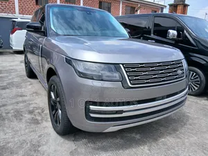 Rover Land 2017 Gray