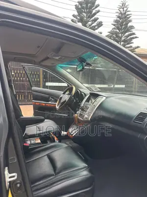 Lexus RX 2007 Gray