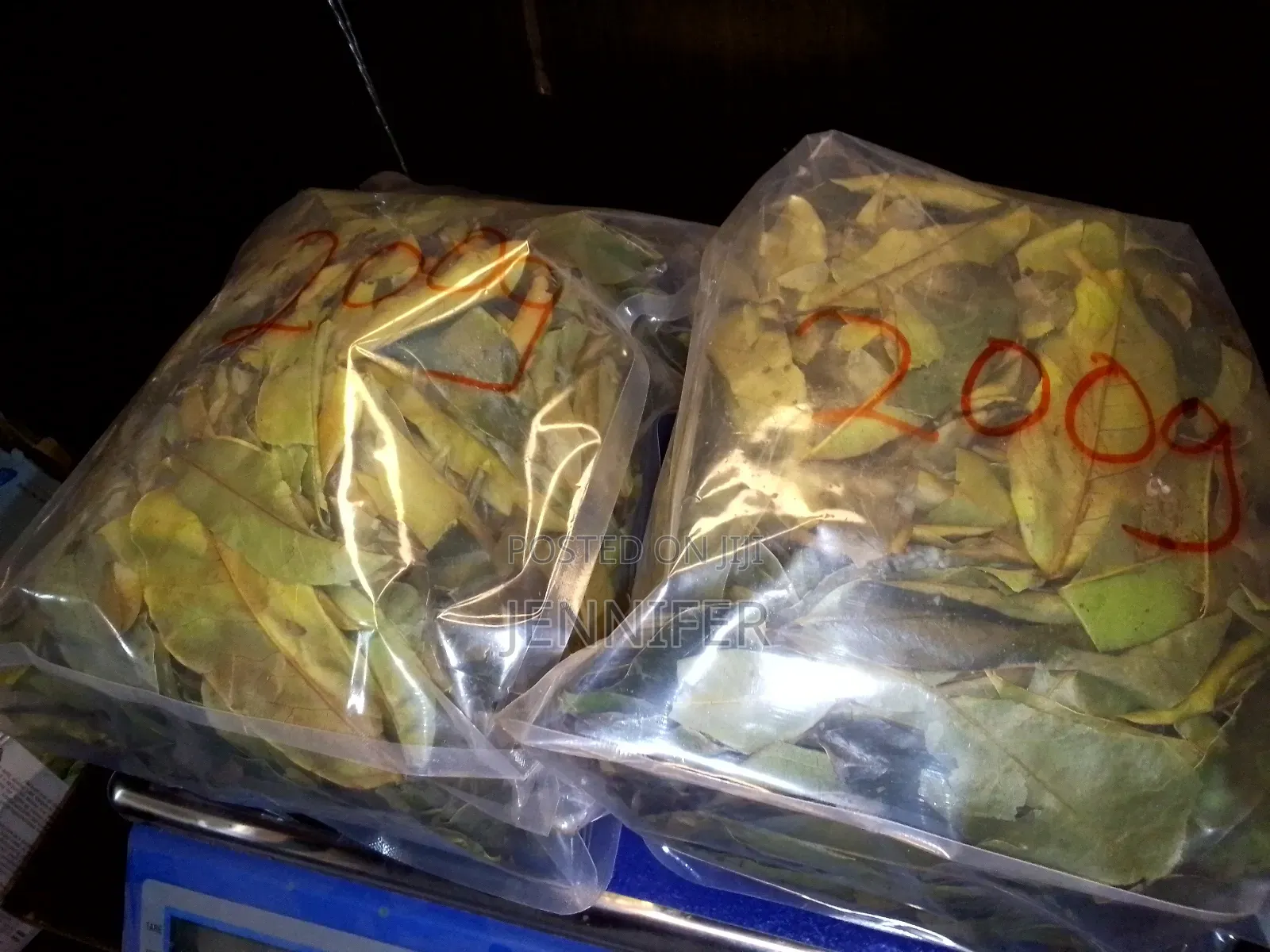 Soursop Leaves
