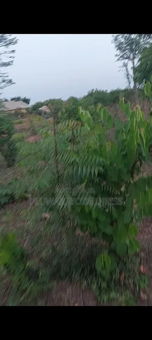 Land for Sell in School Area
