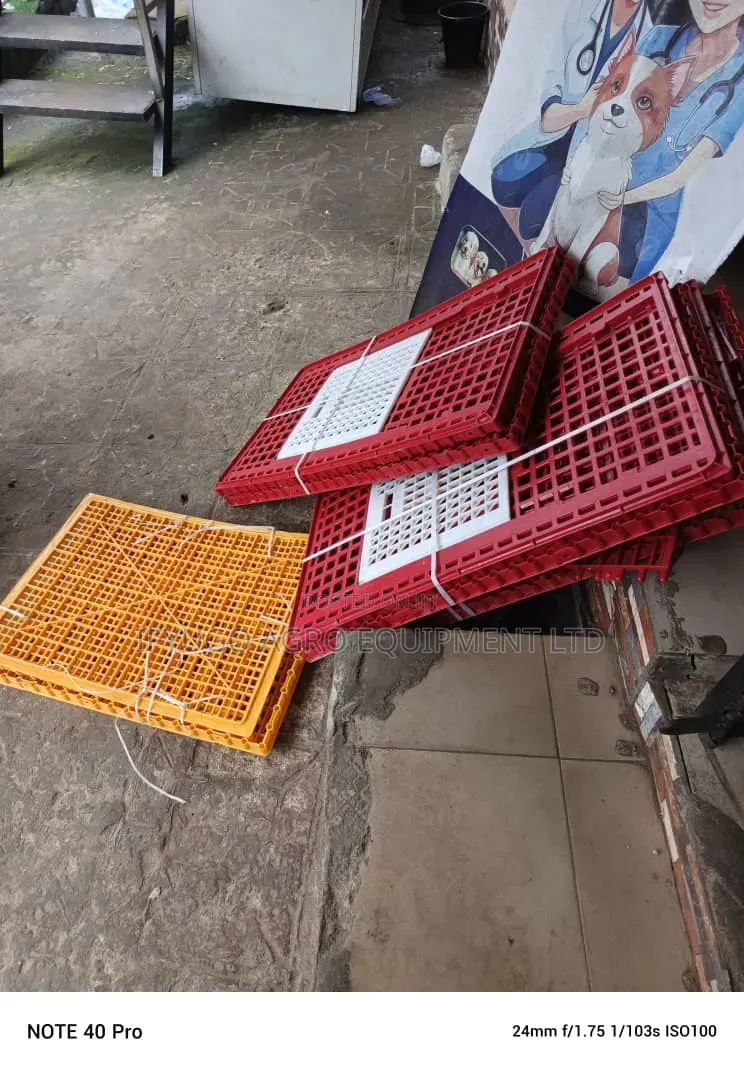 Plastic Transport Crate