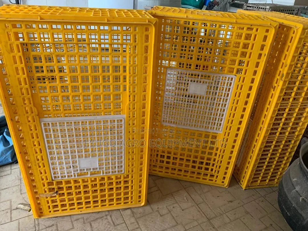 Plastic Transport Crate