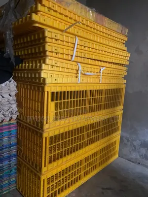 Plastic Transport Crate