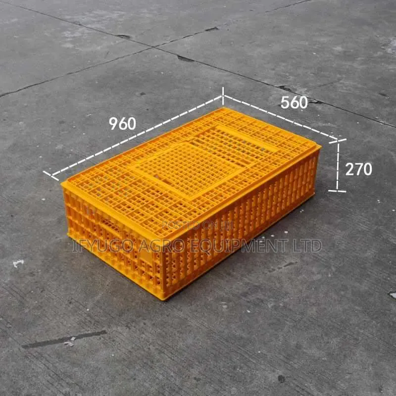 Plastic Transport Crate