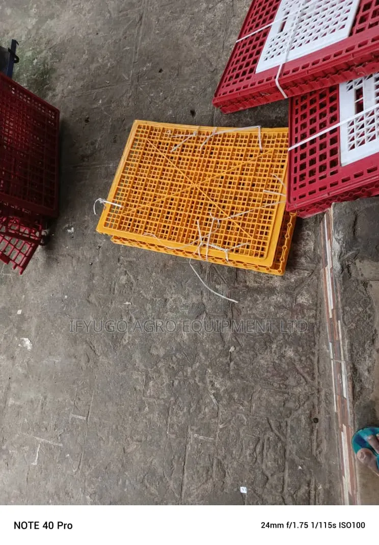 Plastic Transport Crate