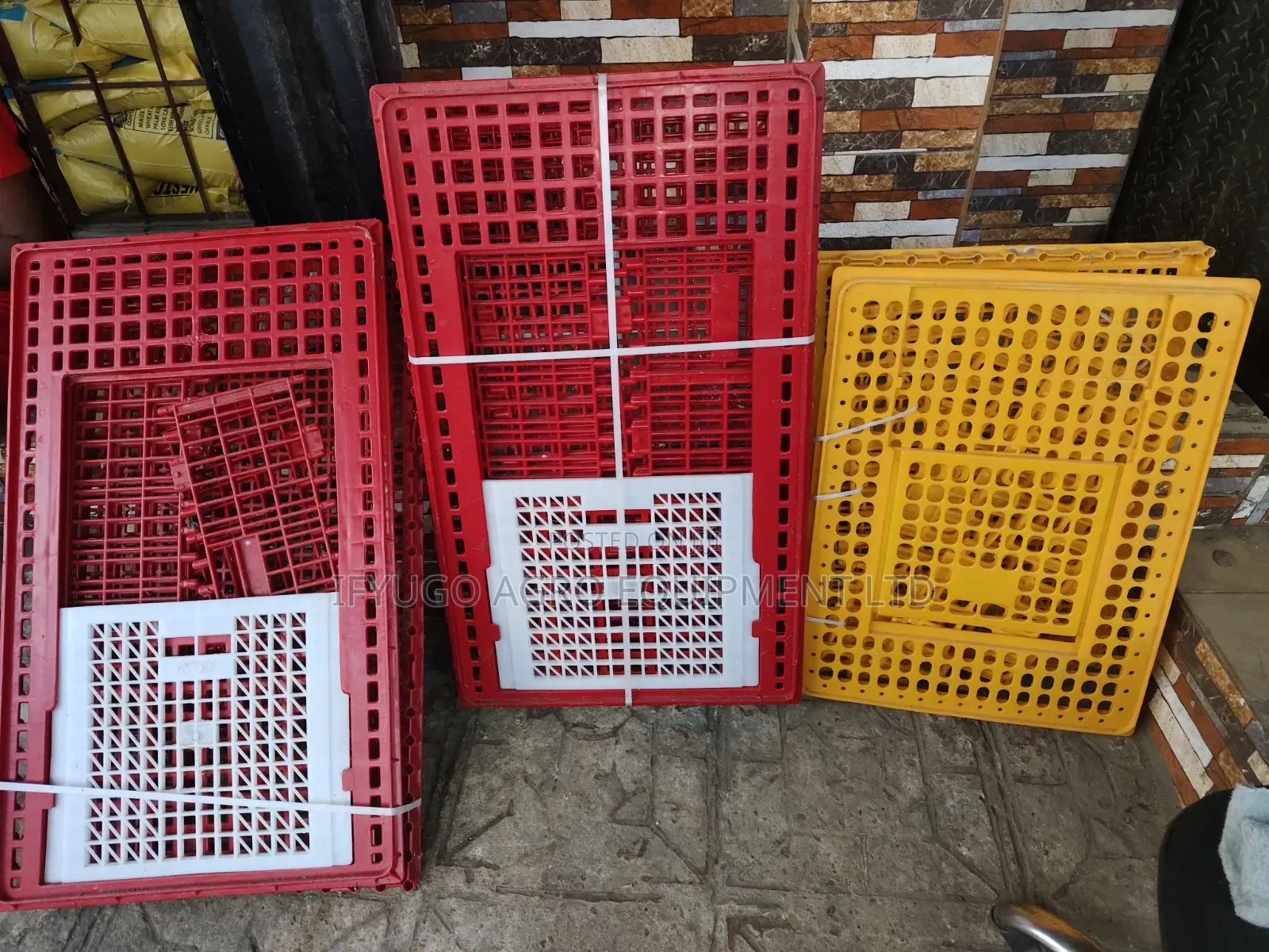Plastic Transport Crate
