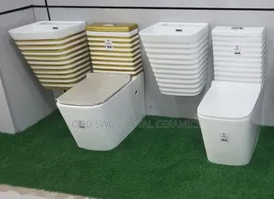 Concealed Wall Wc