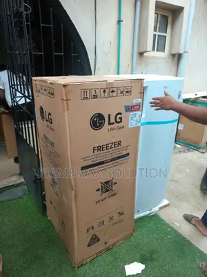 Lg Gn-304sqbr Upright Freezer Review: Features, Capacity Price