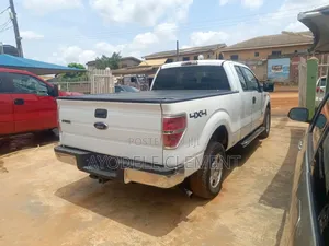 Ford F-150 FX4 2012 White