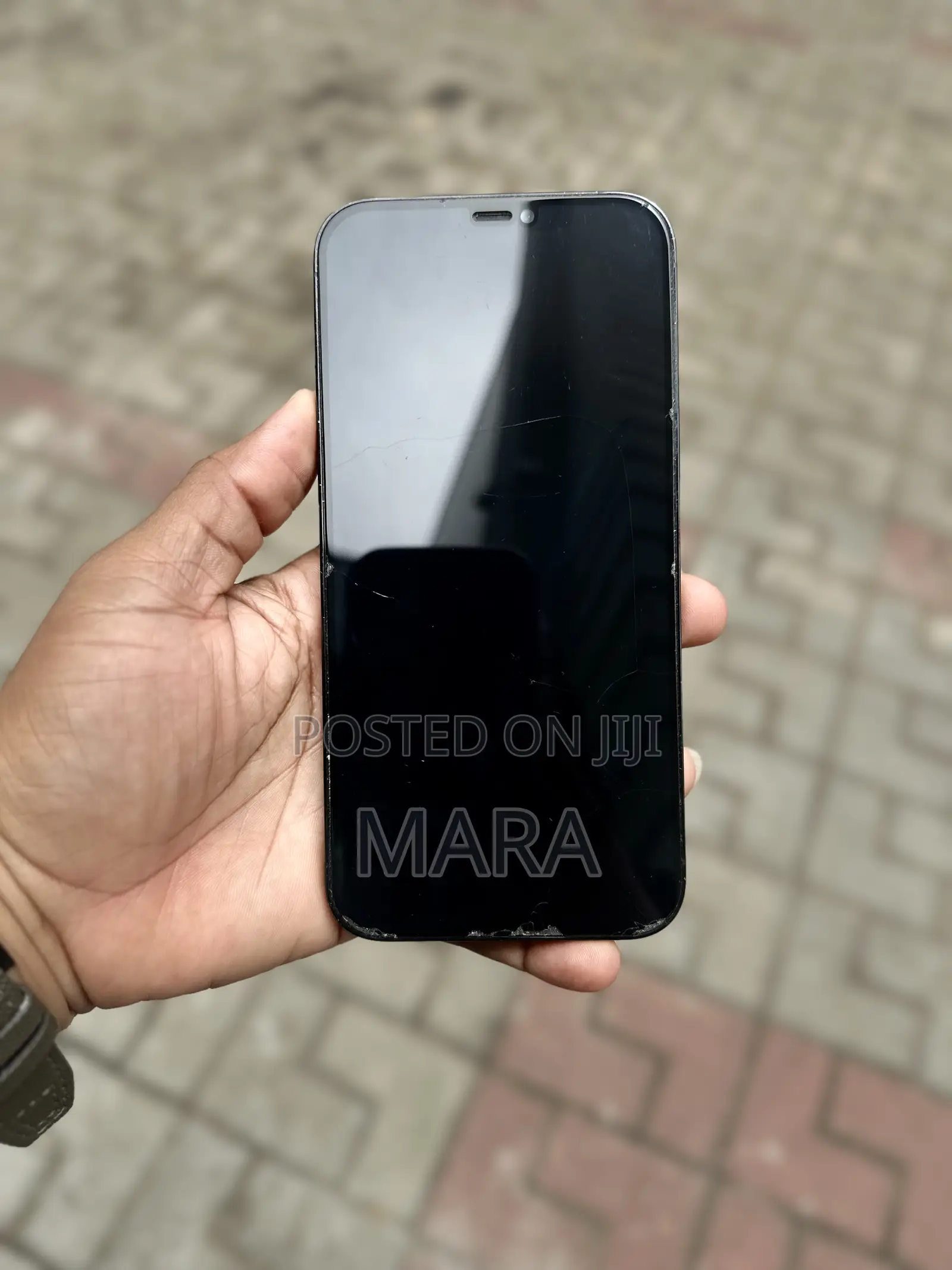 Apple iPhone 12 Pro Max 256 GB Blue