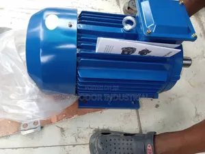 Industrial Electric Motor