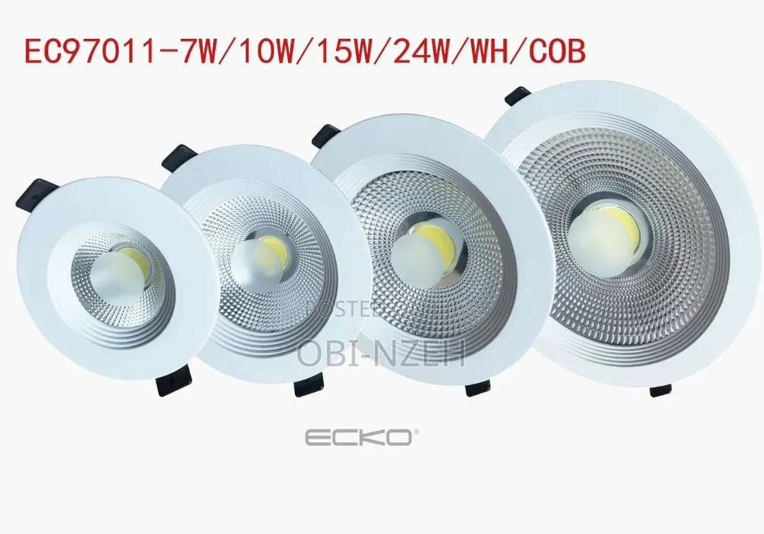 Outdoor Light