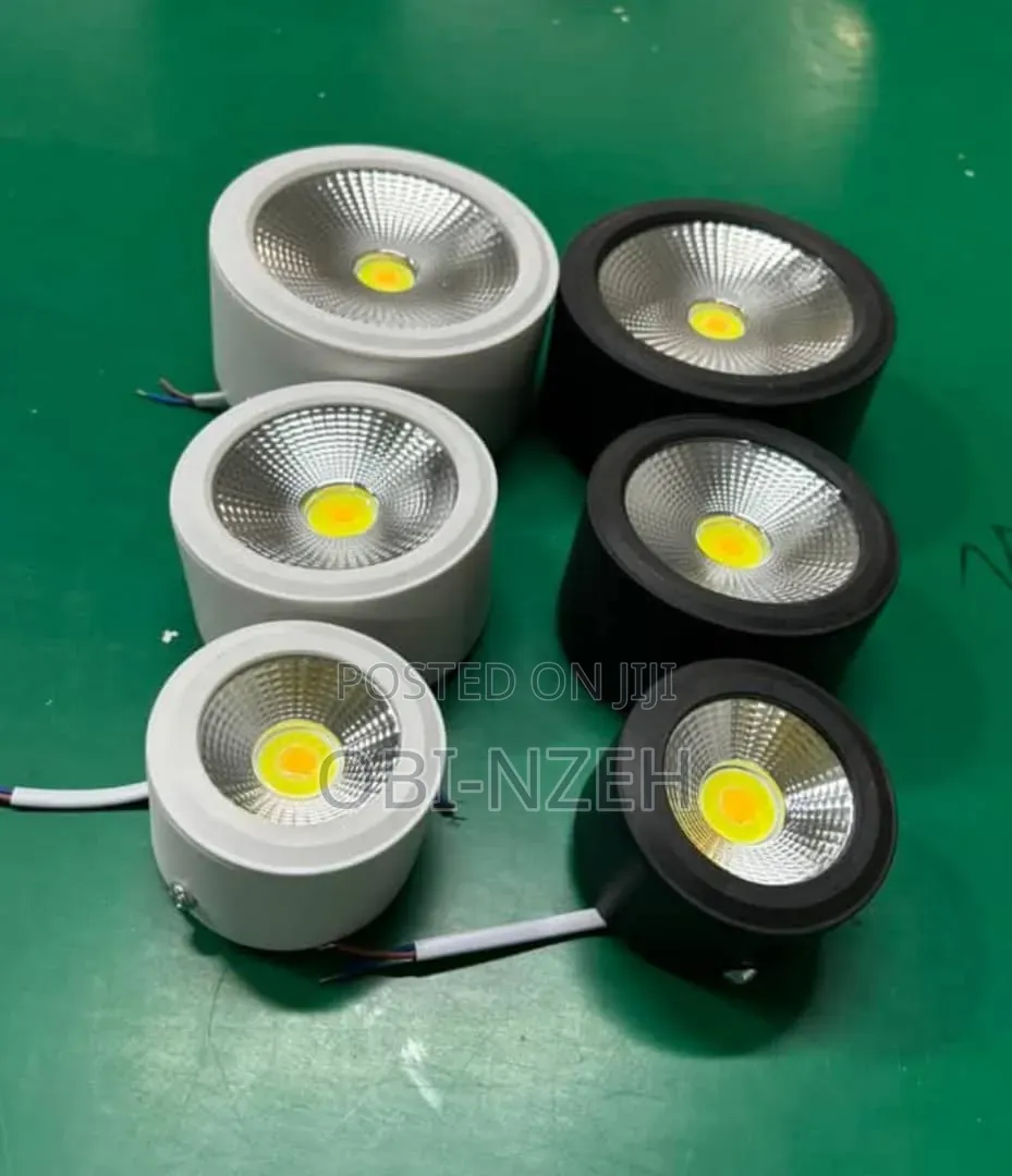 Outdoor Light