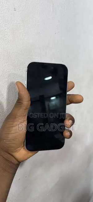 Apple iPhone 17 Pro 256 GB Silver