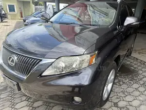 Lexus RX 350 2010 Gray