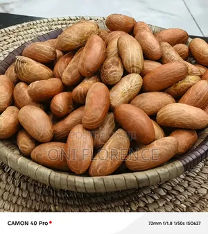 Bitter Kola 50 Pieces