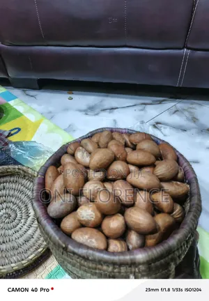Bitter Kola 100 Pieces