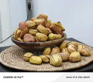 Kola Nut 50 Pieces