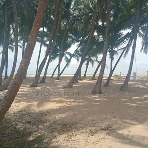 7 Hectares (70,000sqm) Waterfront Land