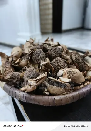 Alligator Pepper 50 Pieces
