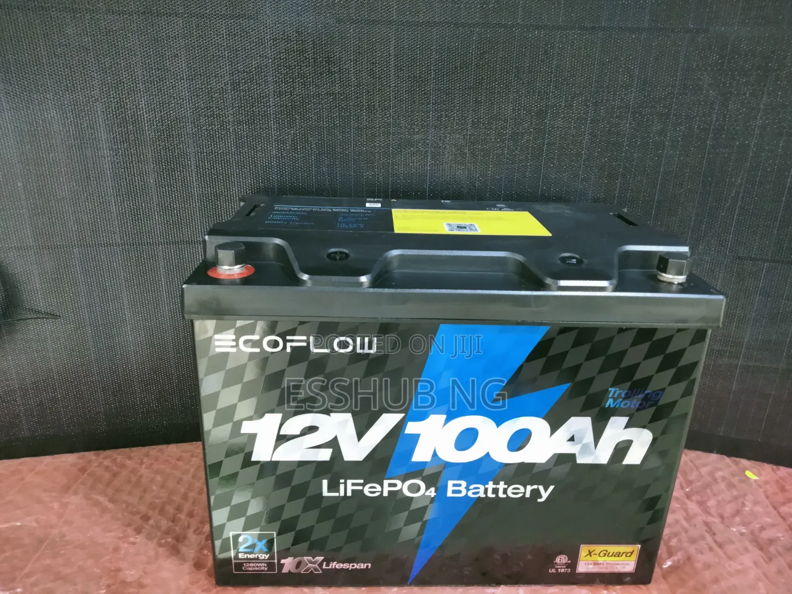 Ecoflow Lithium Battery 100ah