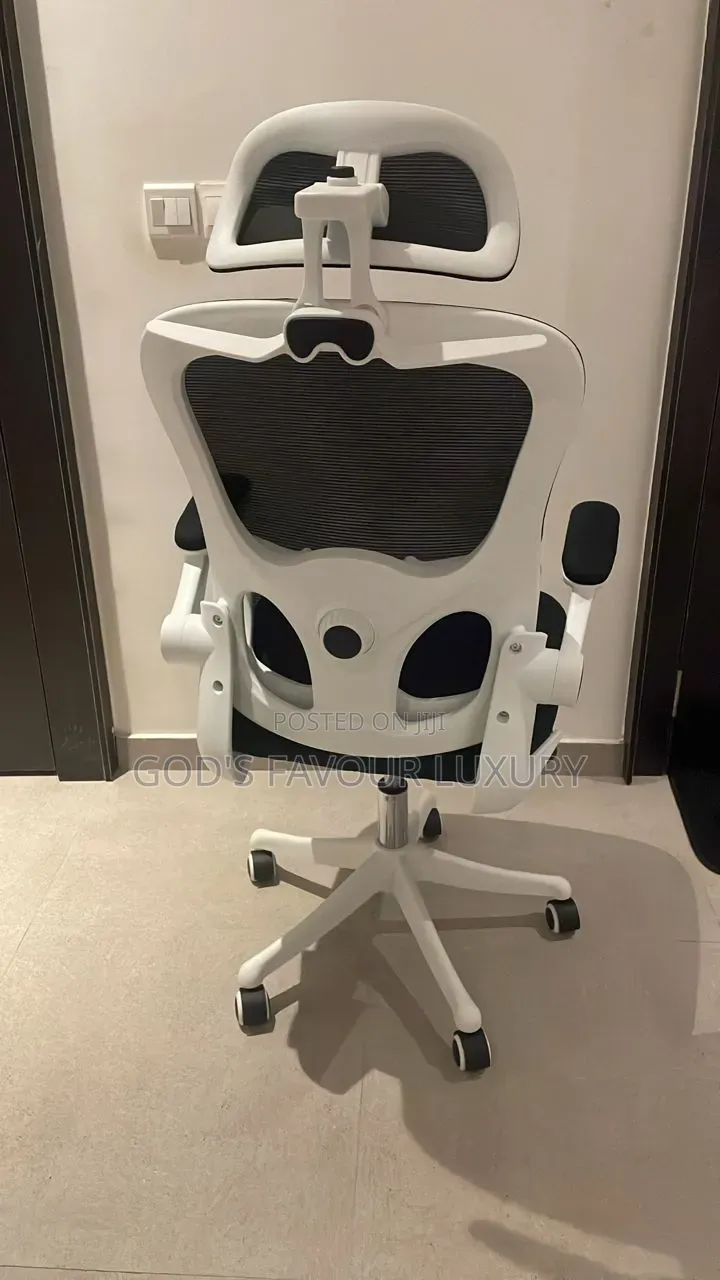 Office Ergonomic Mesh Chair.