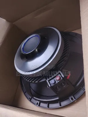 15'' Inches Naked Speaker