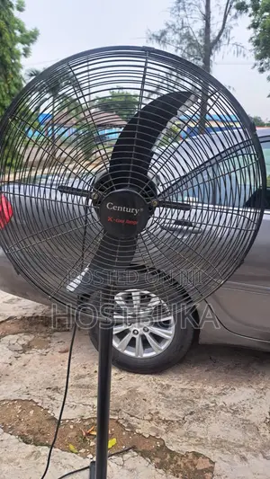 Standing Fan