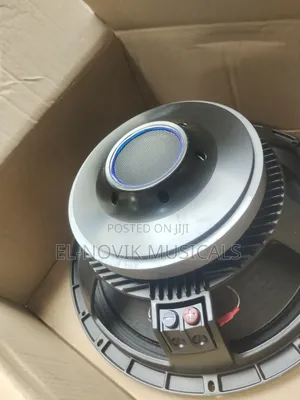 Heavy-Duty Large Magnet Naked Speaker