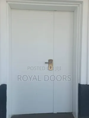 Plain Israeli Security Door
