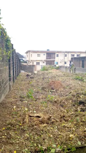 1bdrm Apartment in Iju-Ishaga for sale