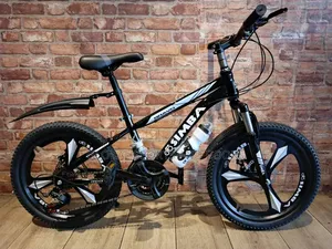 Size 20 Bicycle for Teenager