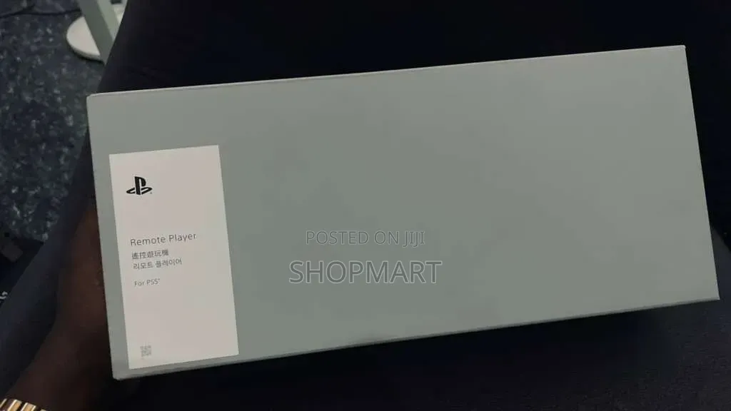Playstation Portal