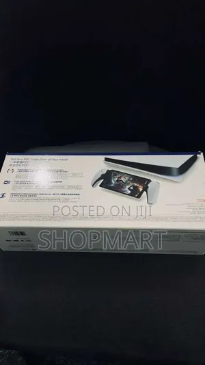 Playstation Portal