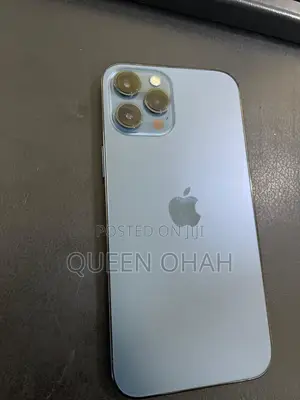 Apple iPhone 12 Pro Max 256 GB Blue