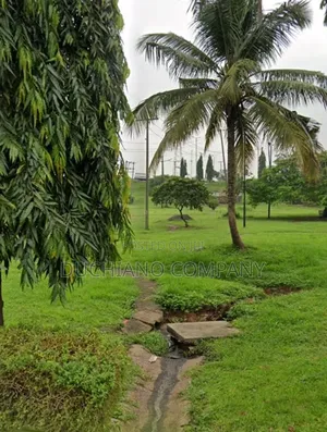Hakeem Dickson, Lekki Ph 1: 1,180sqm Land for Sale