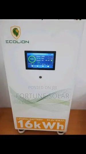 Ecolion 16kwh 48v Lithium Battery With Moving Tire and Standing