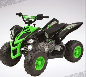 Electric Power Bike For Age 6 To 12